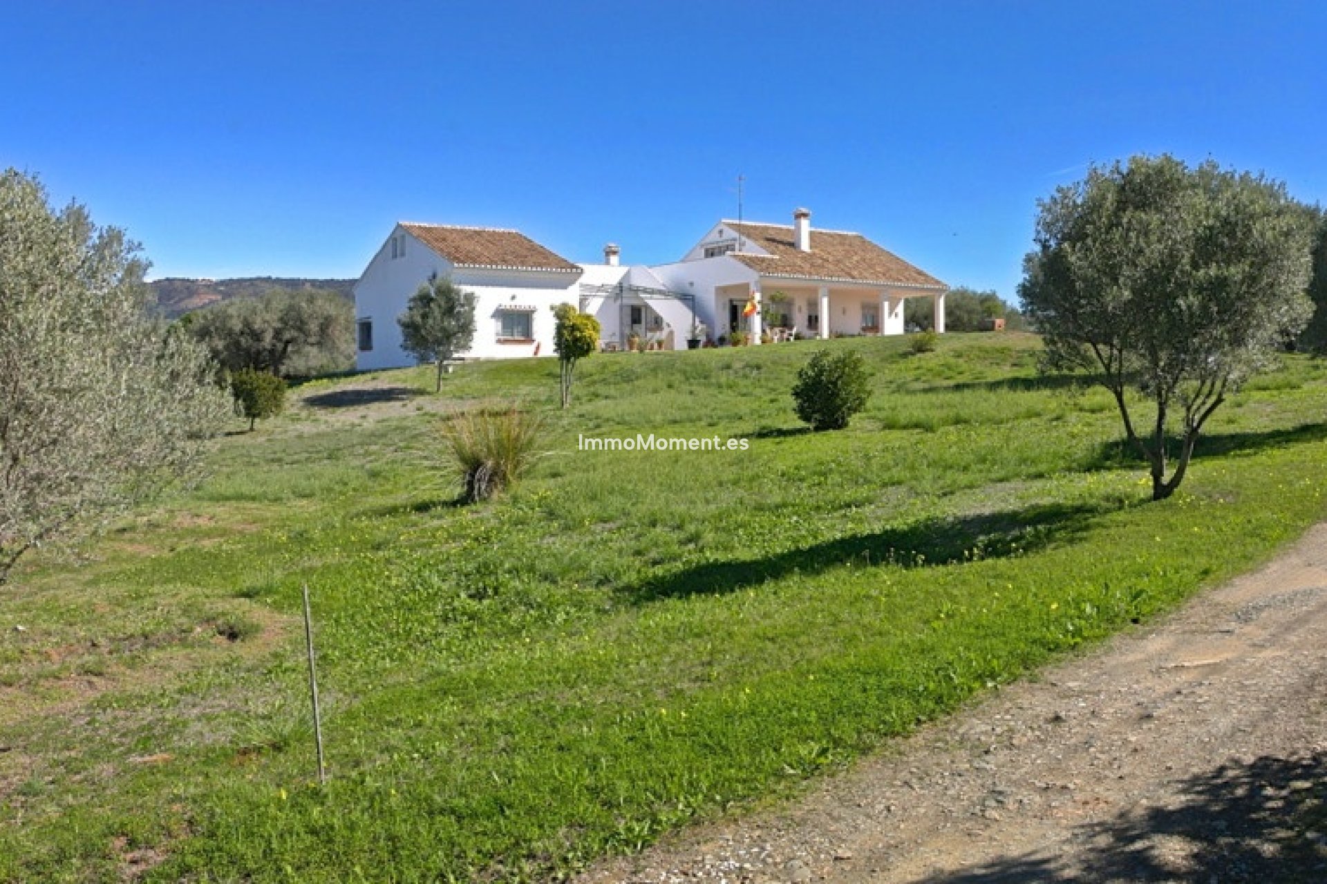 Bestaande woning - Vrijstaande villa - Marbella - Elviria