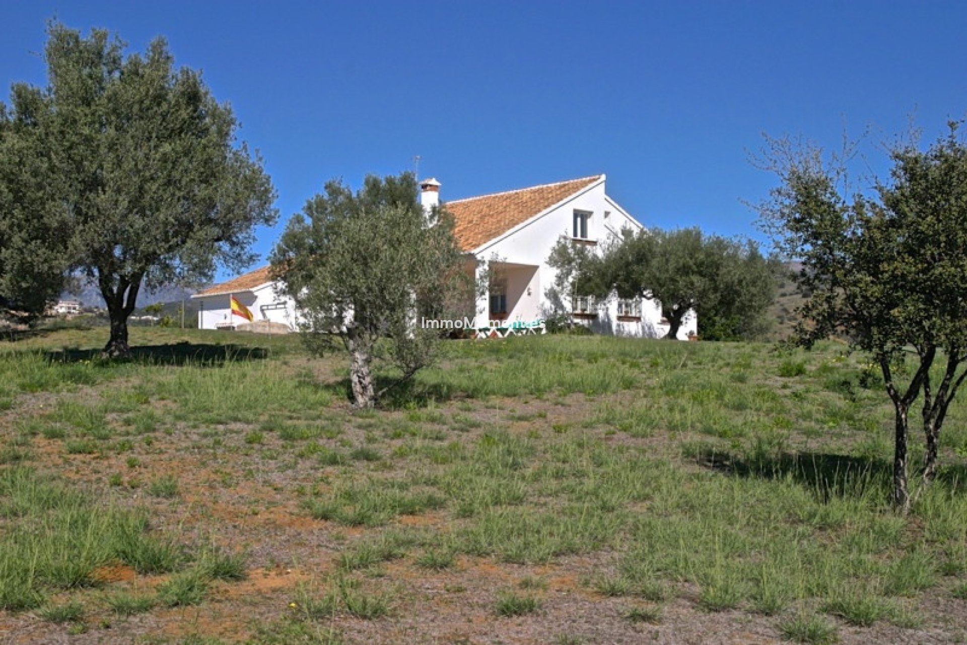 Bestaande woning - Vrijstaande villa - Marbella - Elviria
