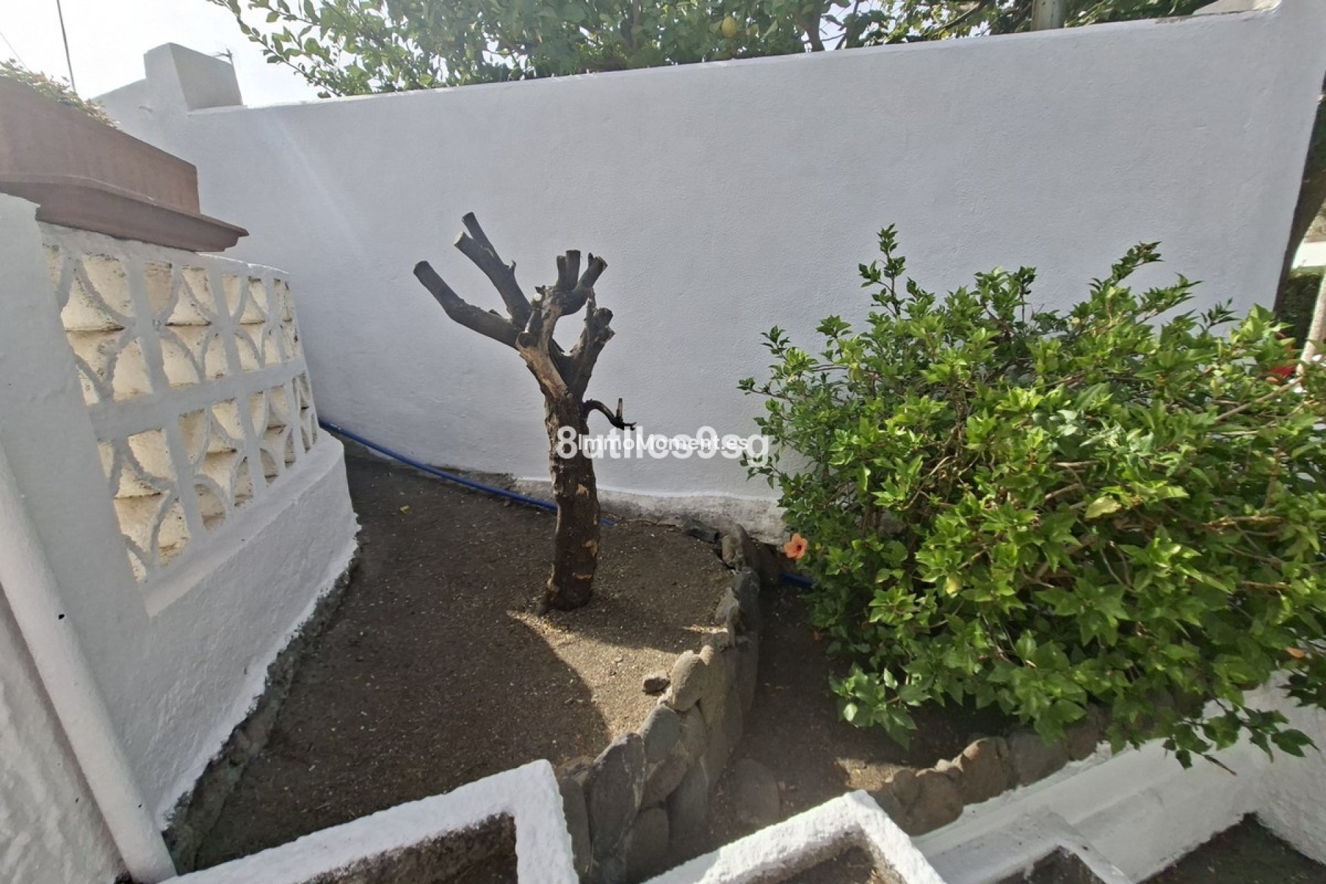 Bestaande woning - Vrijstaande villa - Marbella - La Campana