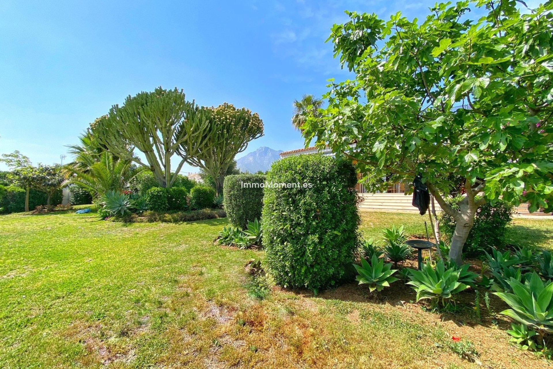 Bestaande woning - Vrijstaande villa - Marbella - Marbella Centro