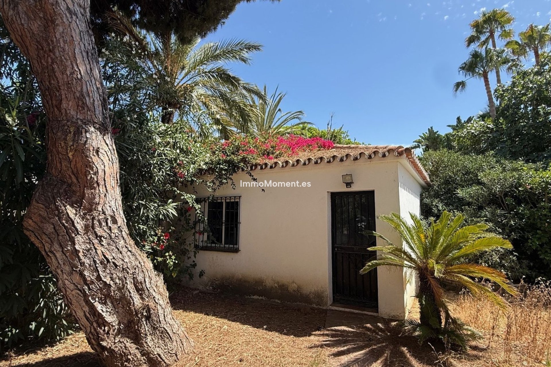 Bestaande woning - Vrijstaande villa - Marbella - Marbesa