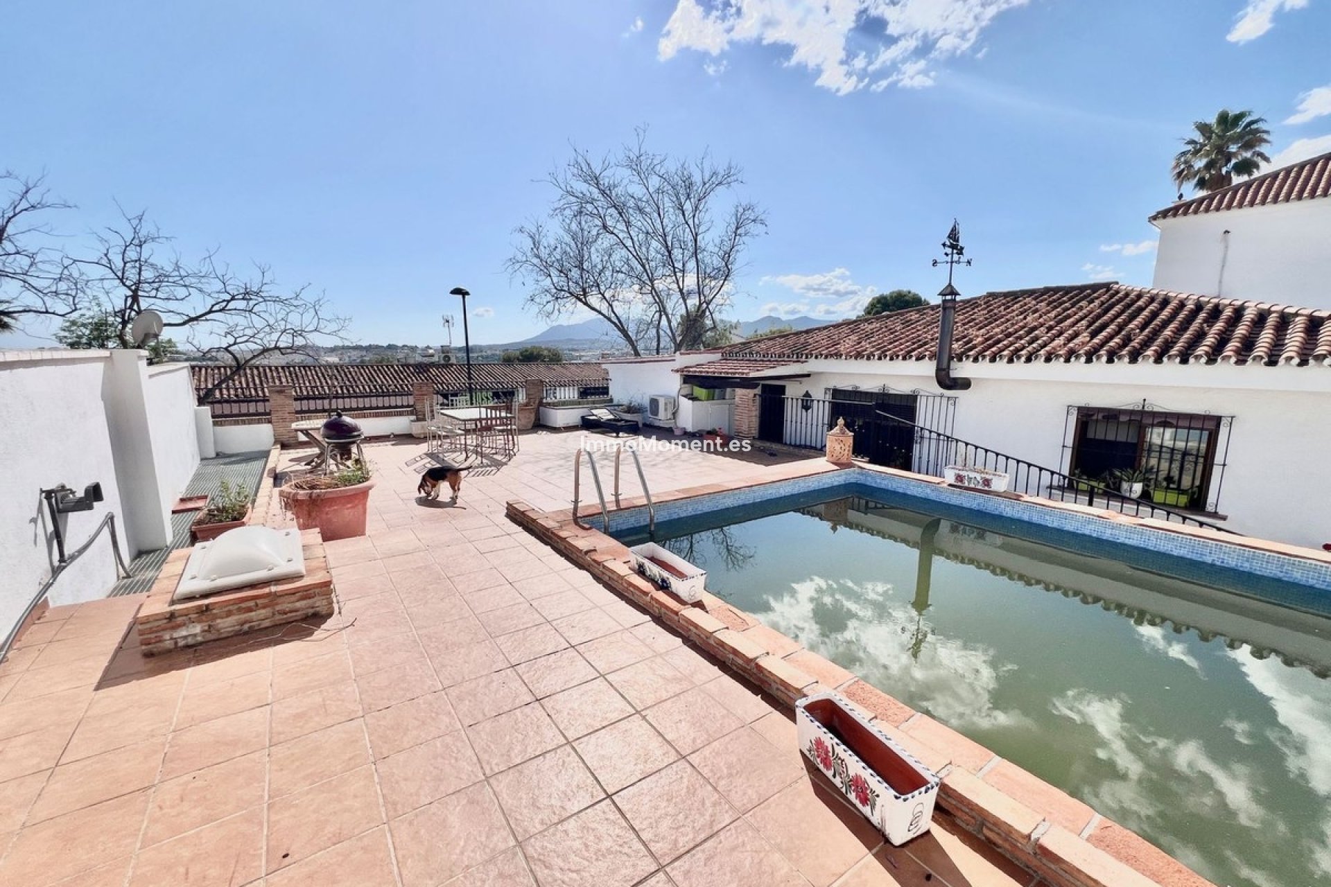 Bestaande woning - Vrijstaande villa - Marbella - Nueva Andalucía