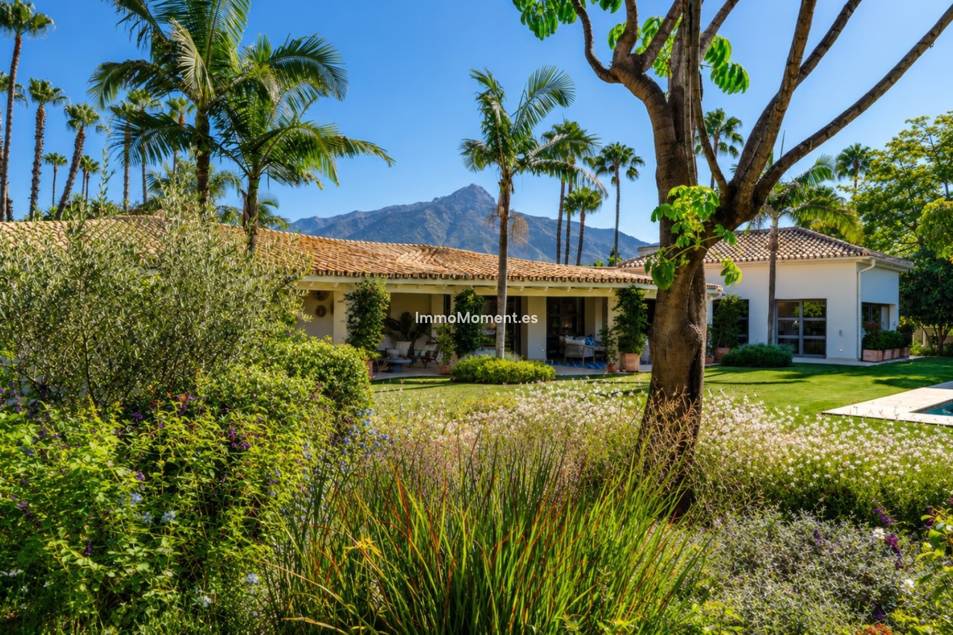 Bestaande woning - Vrijstaande villa - Marbella - Nueva Andalucía