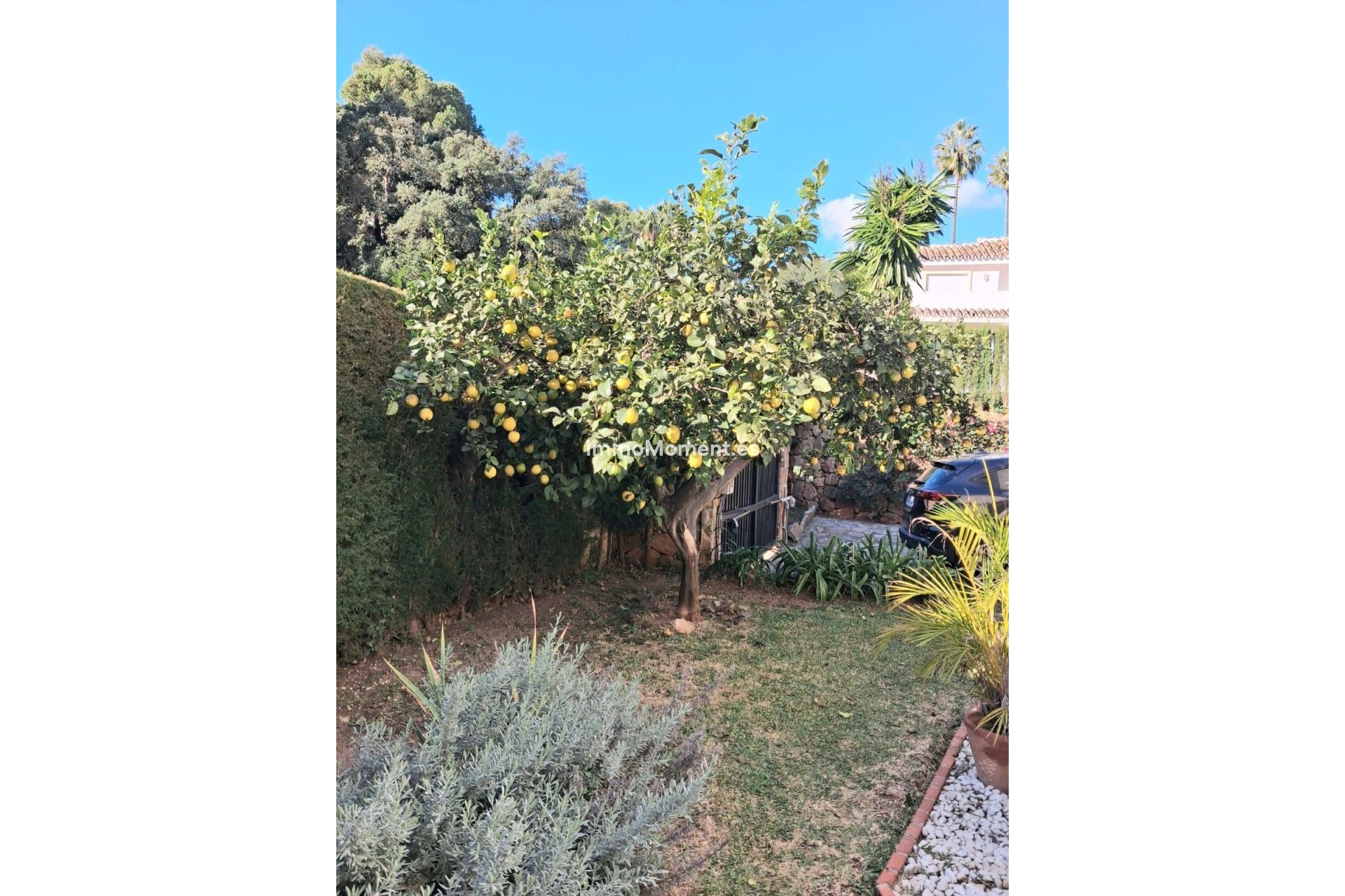 Bestaande woning - Vrijstaande villa - Mijas - Calahonda