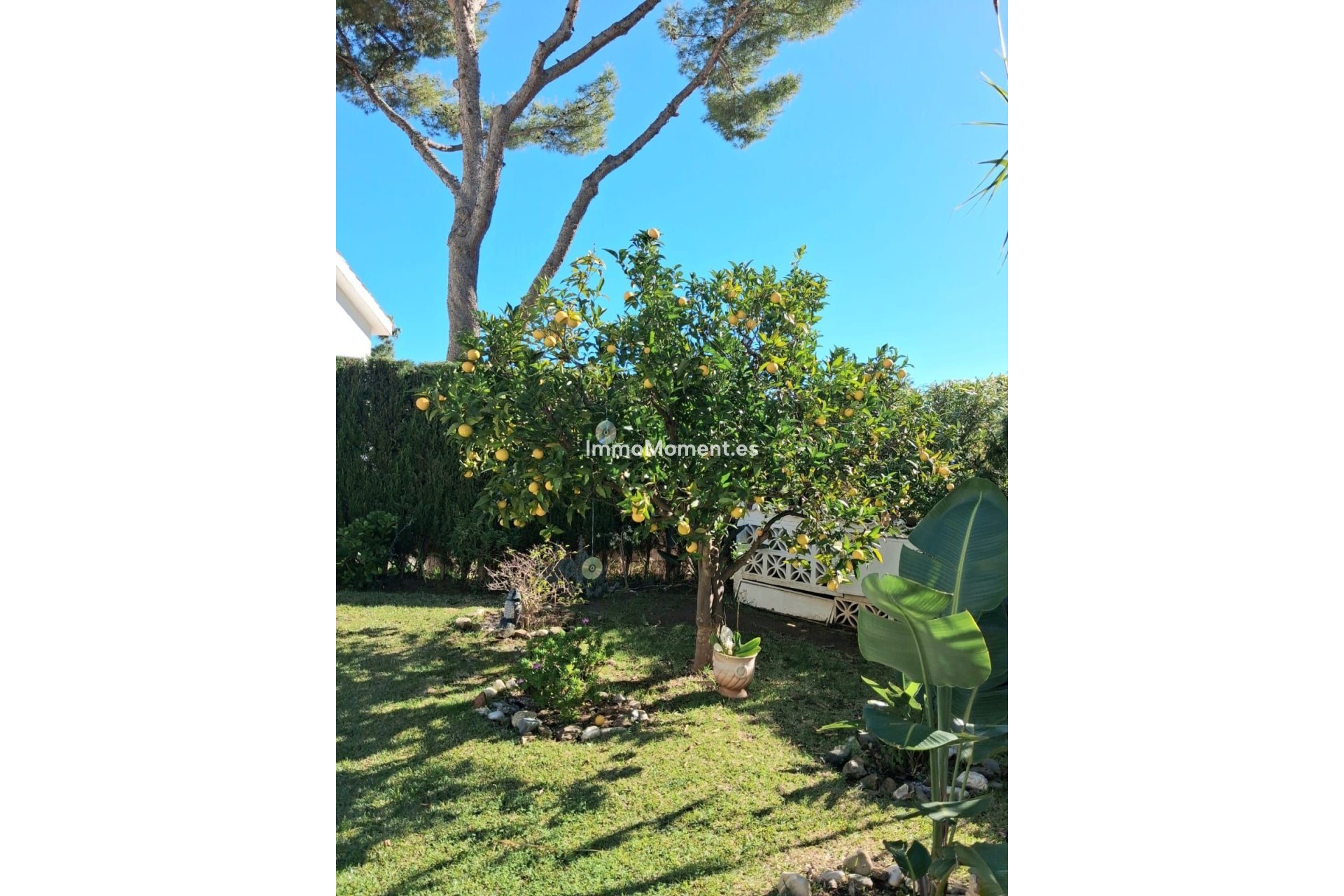 Bestaande woning - Vrijstaande villa - Mijas - Calahonda