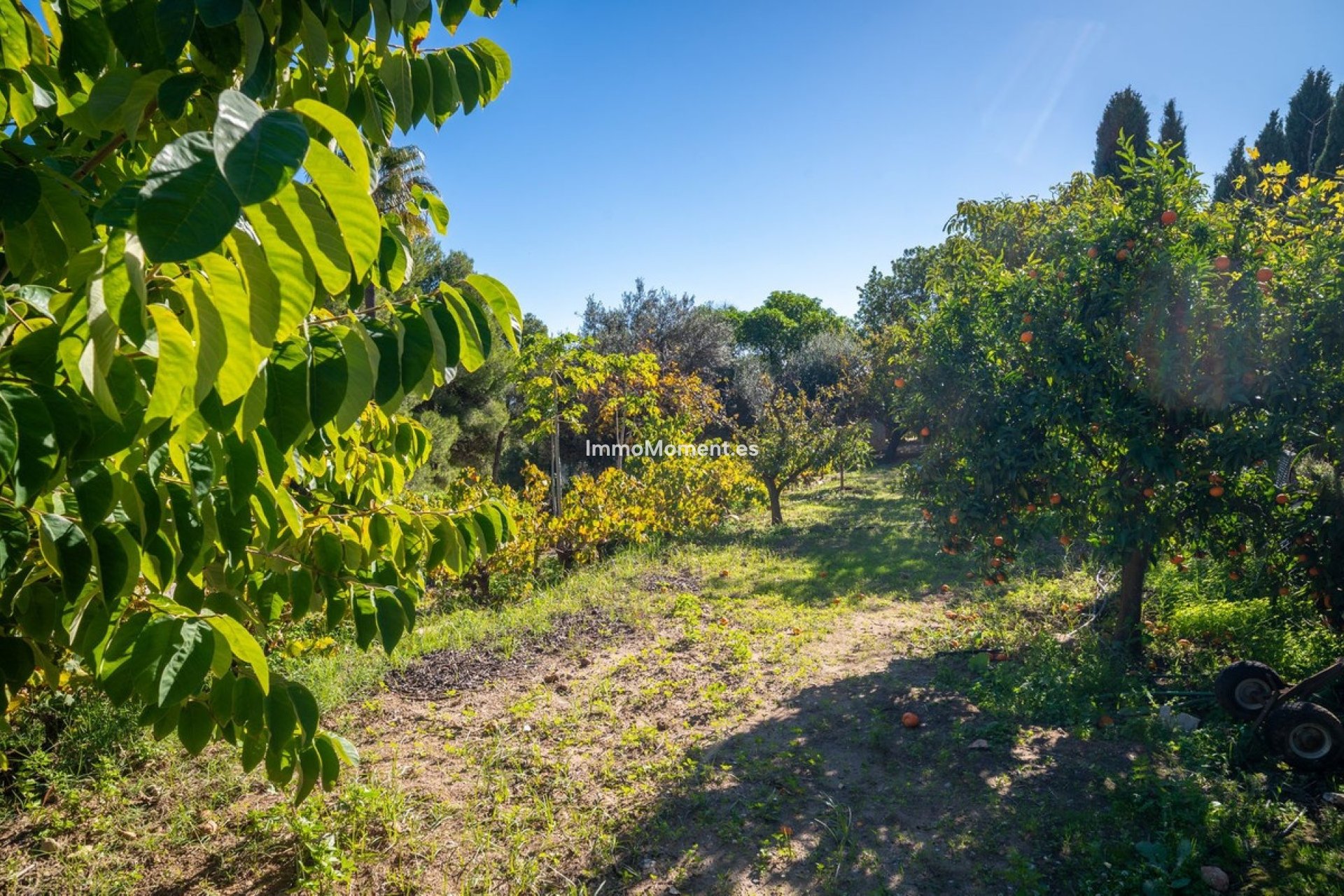 Bestaande woning - Vrijstaande villa - Mijas - Mijas Centro