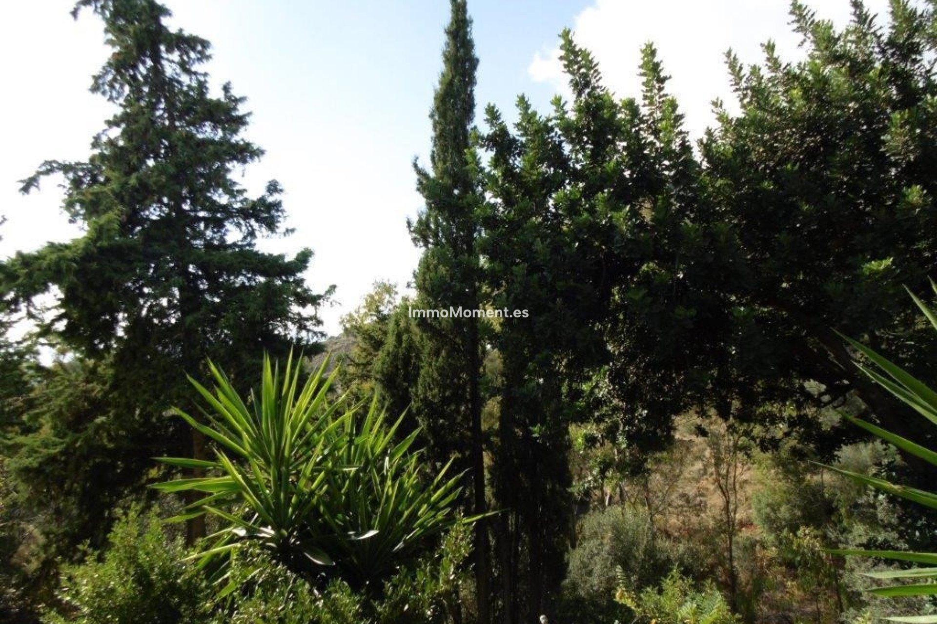 Bestaande woning - Vrijstaande villa - Mijas - Mijas Centro