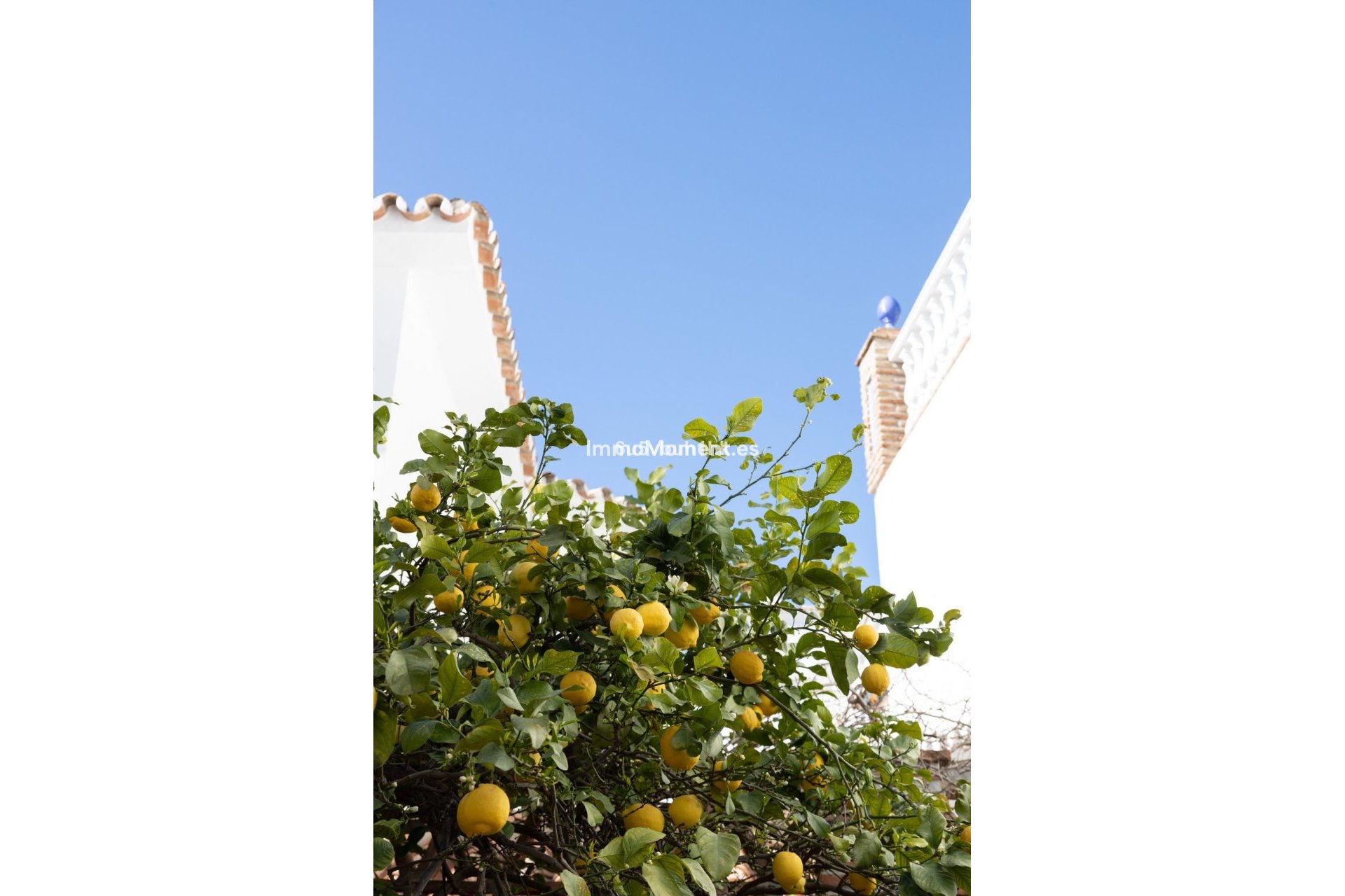Bestaande woning - Vrijstaande villa - Mijas - Mijas Centro
