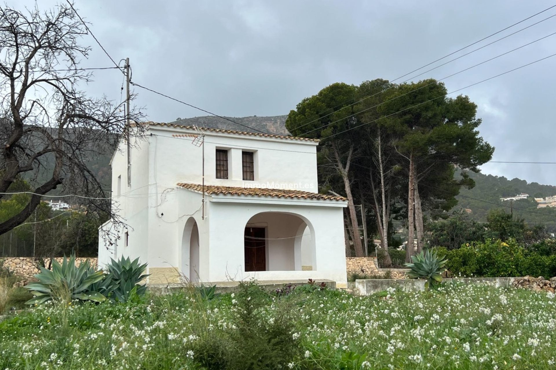 Bestaande woning - Vrijstaande villa - Novelda - Estación