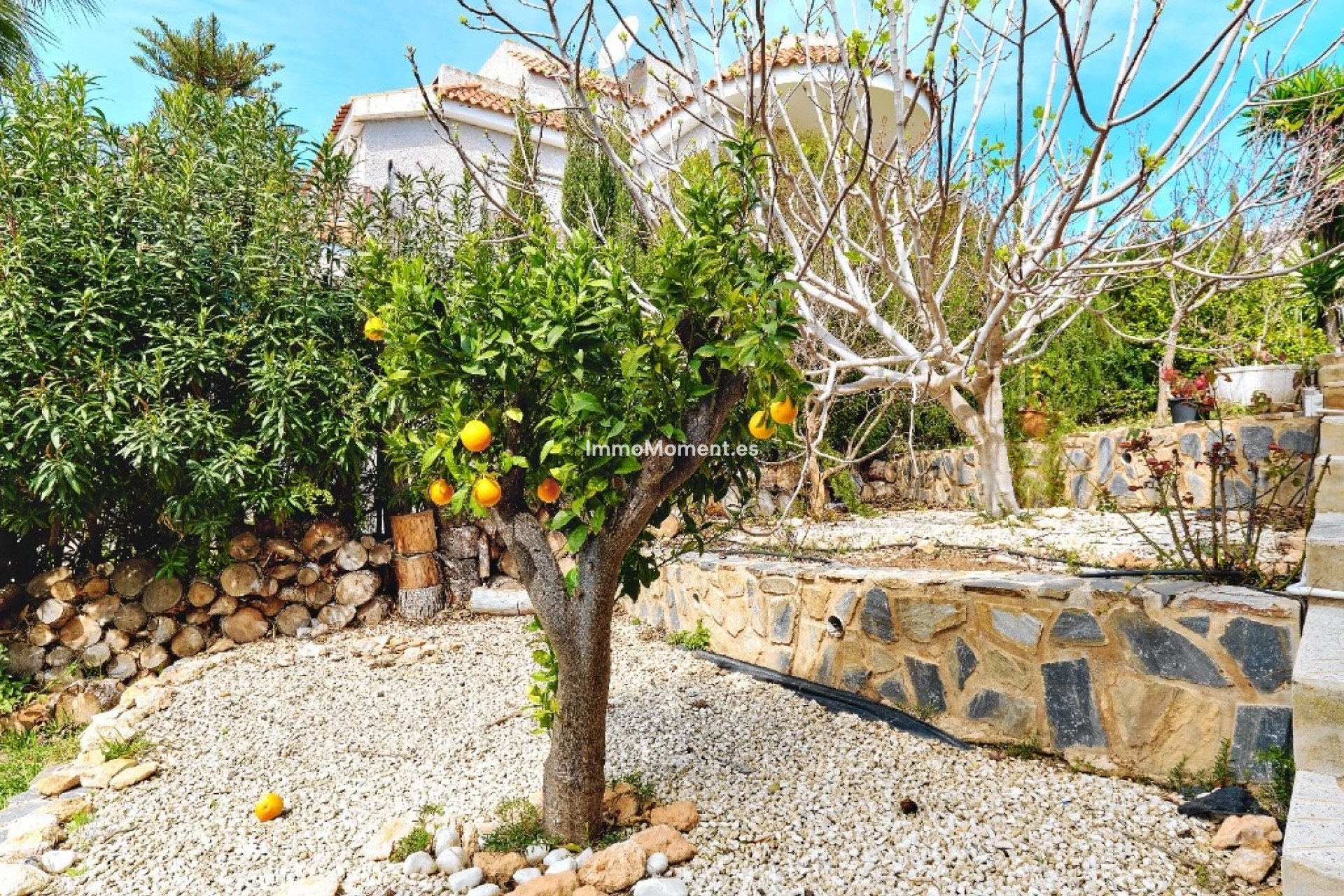 Bestaande woning - Vrijstaande villa - Orihuela - Dehesa de campoamor