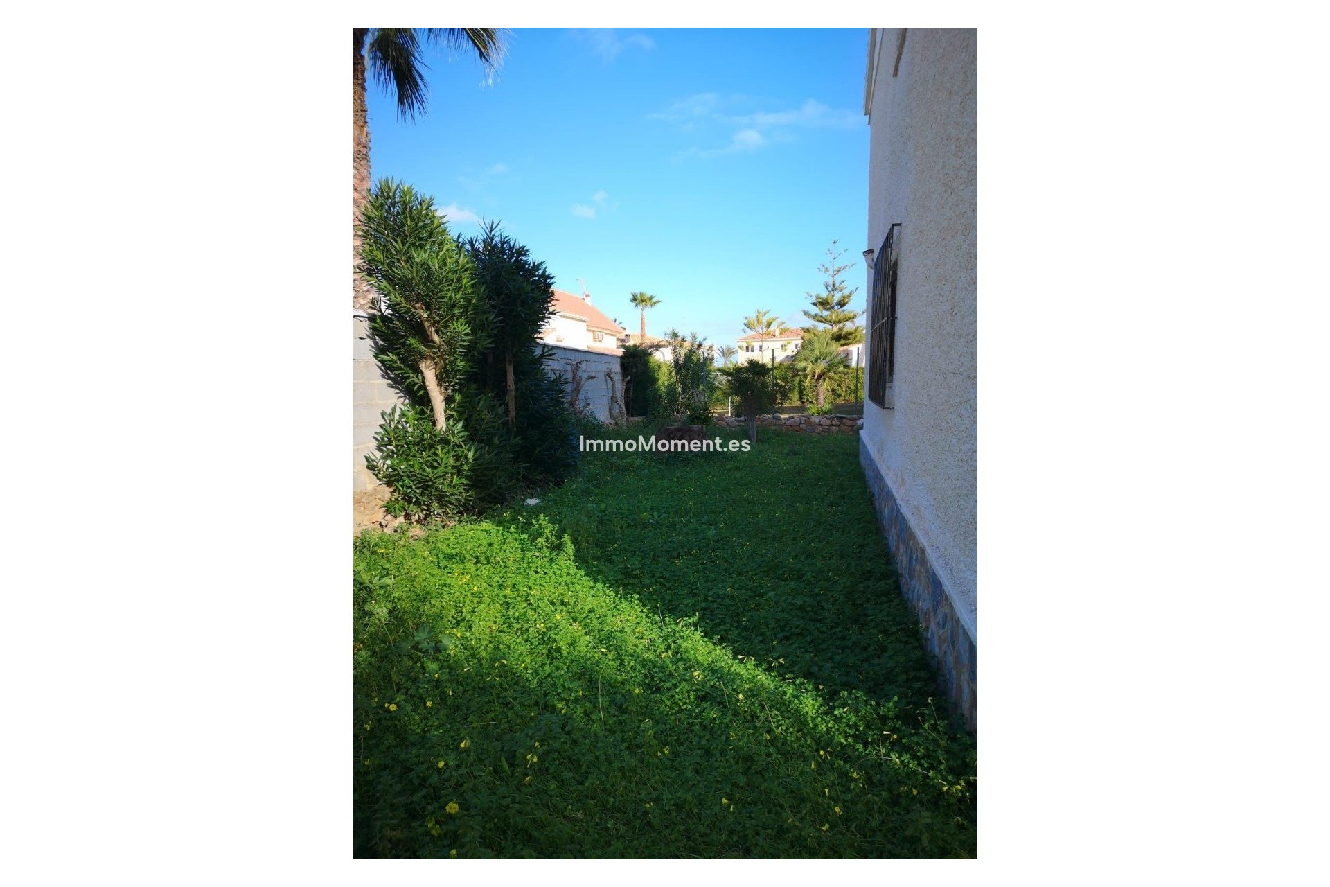Bestaande woning - Vrijstaande villa - Orihuela - La Zenia