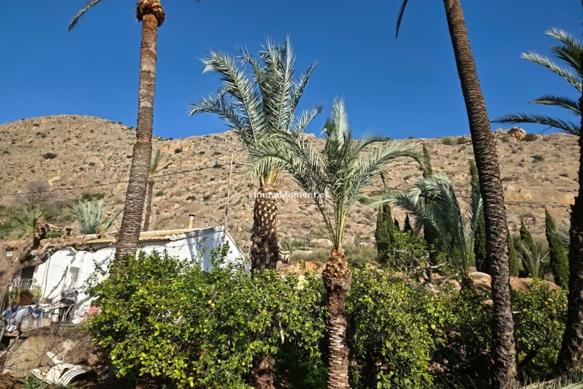 Bestaande woning - Vrijstaande villa - Orihuela - Orihuela Centro