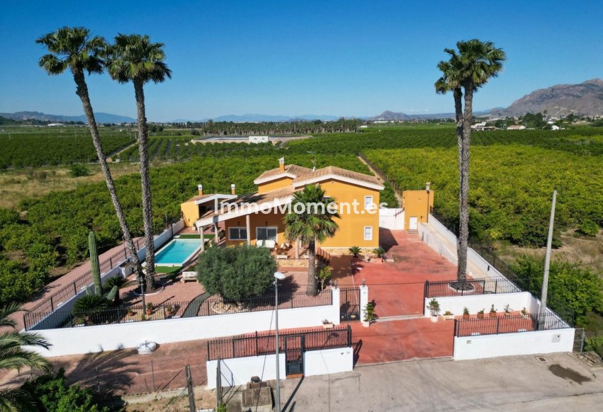 Bestaande woning - Vrijstaande villa - Orihuela - Orihuela Centro