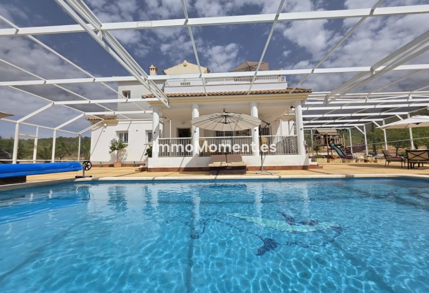 Bestaande woning - Vrijstaande villa - Pinoso - Lel