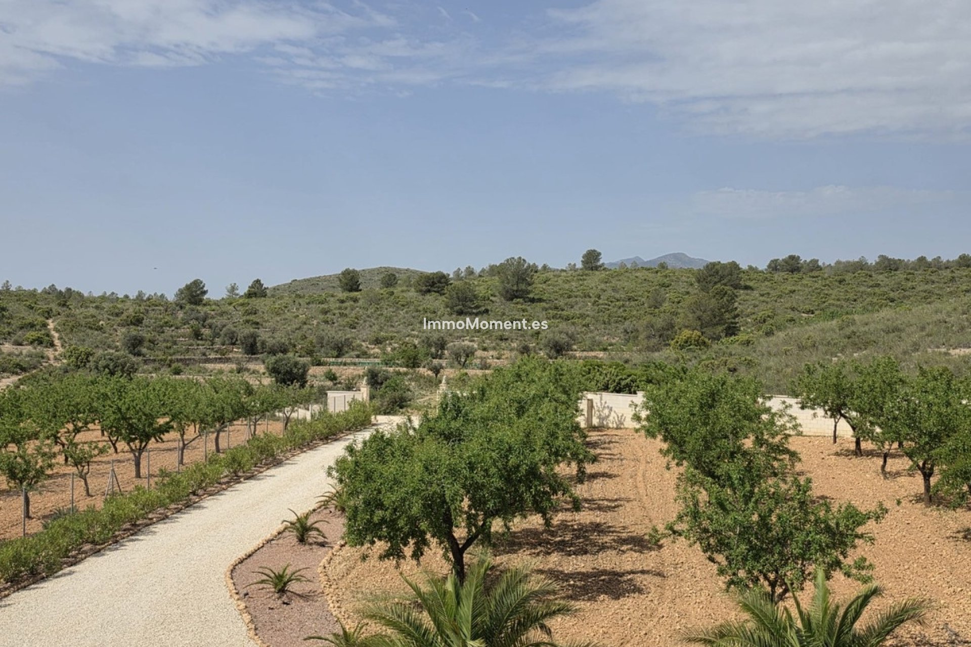 Bestaande woning - Vrijstaande villa - Pinoso - Pinoso Centro
