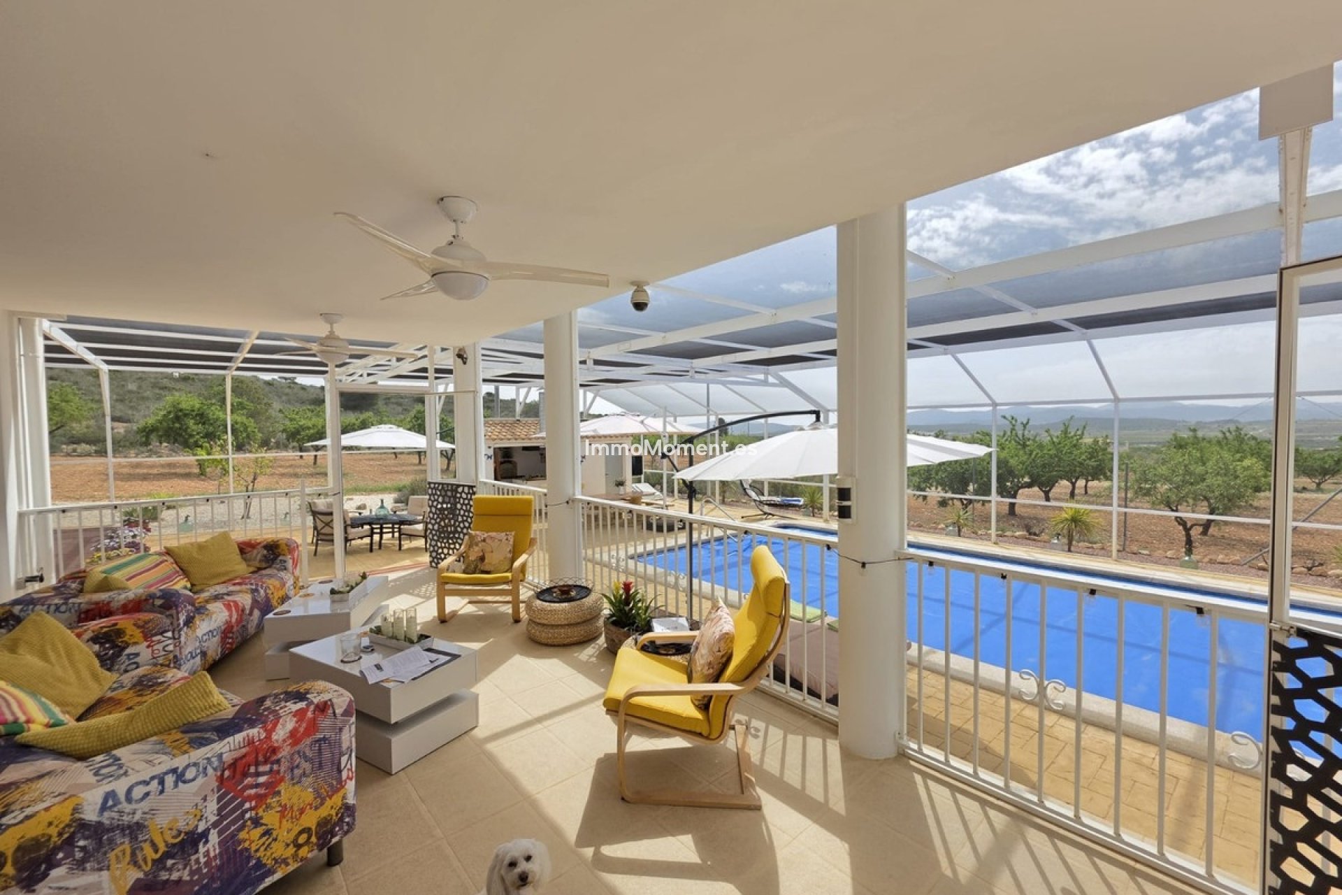 Bestaande woning - Vrijstaande villa - Pinoso - Pinoso Centro