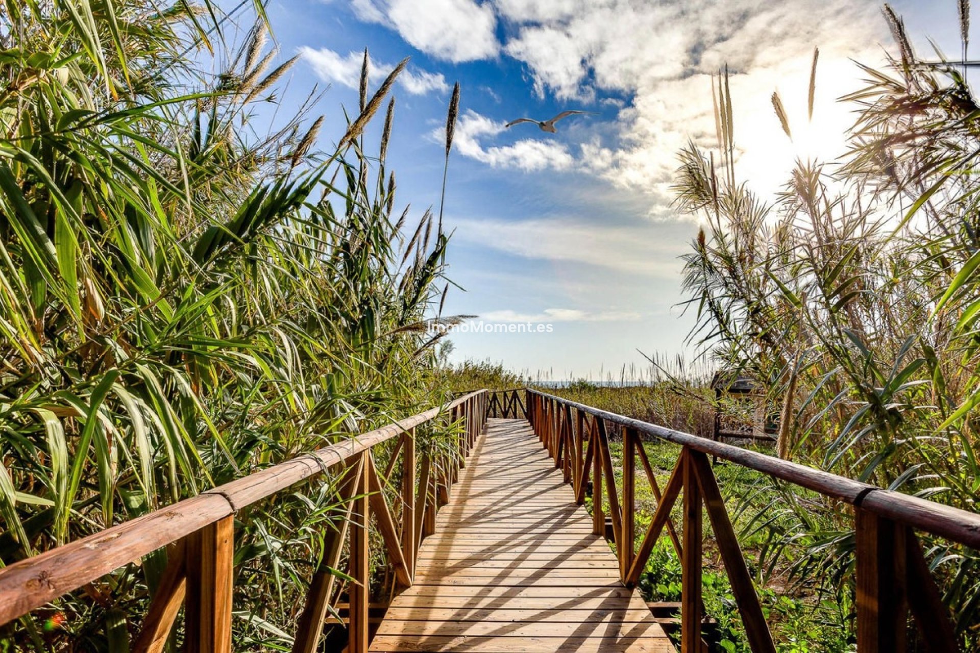 Bestaande woning - Vrijstaande villa - San Fulgencio - La Marina