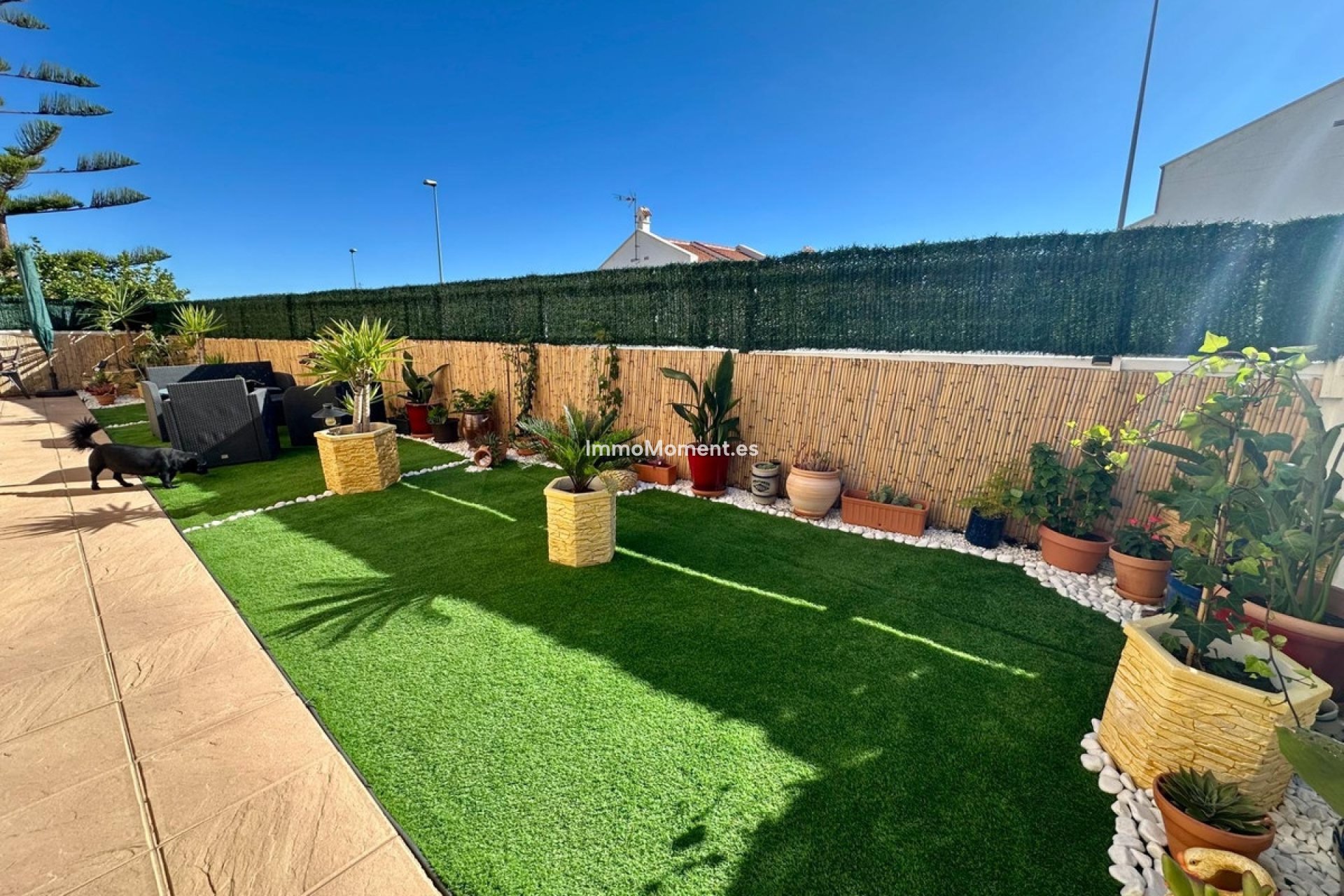 Bestaande woning - Vrijstaande villa - San Miguel de Salinas - San Miguel de Salinas Centro