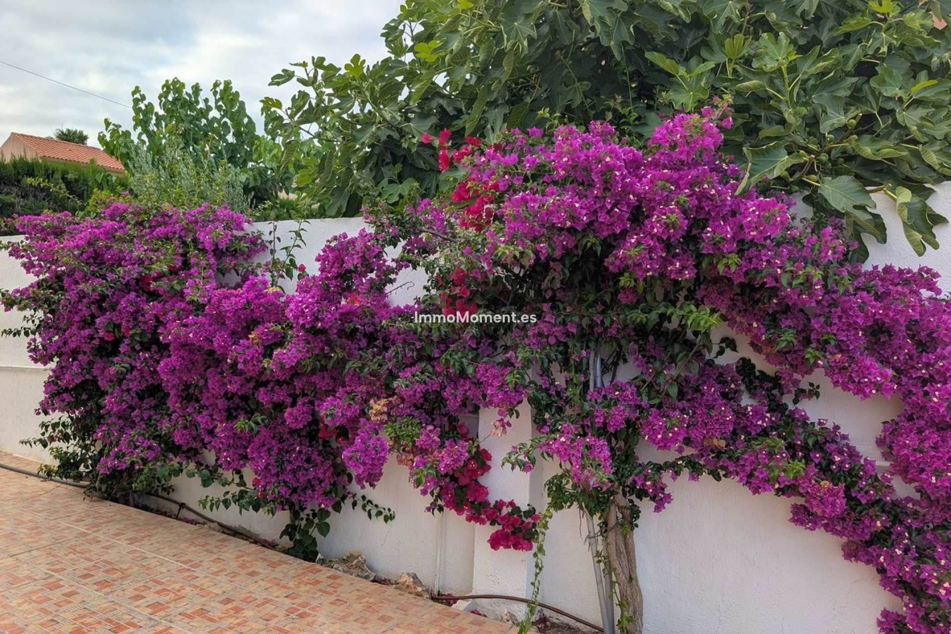Bestaande woning - Vrijstaande villa - San Vicente del Raspeig - San Vicente del Raspeig Centro