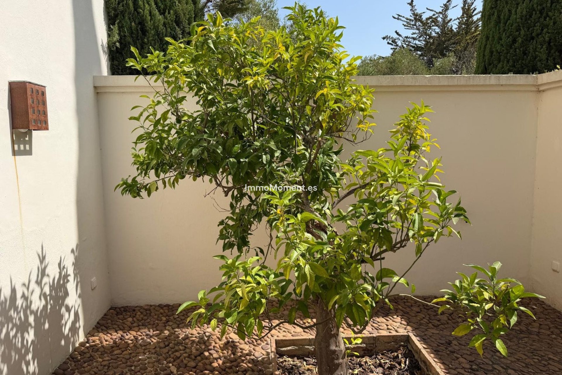 Bestaande woning - Vrijstaande villa - Sotogrande - Sotogrande Alto