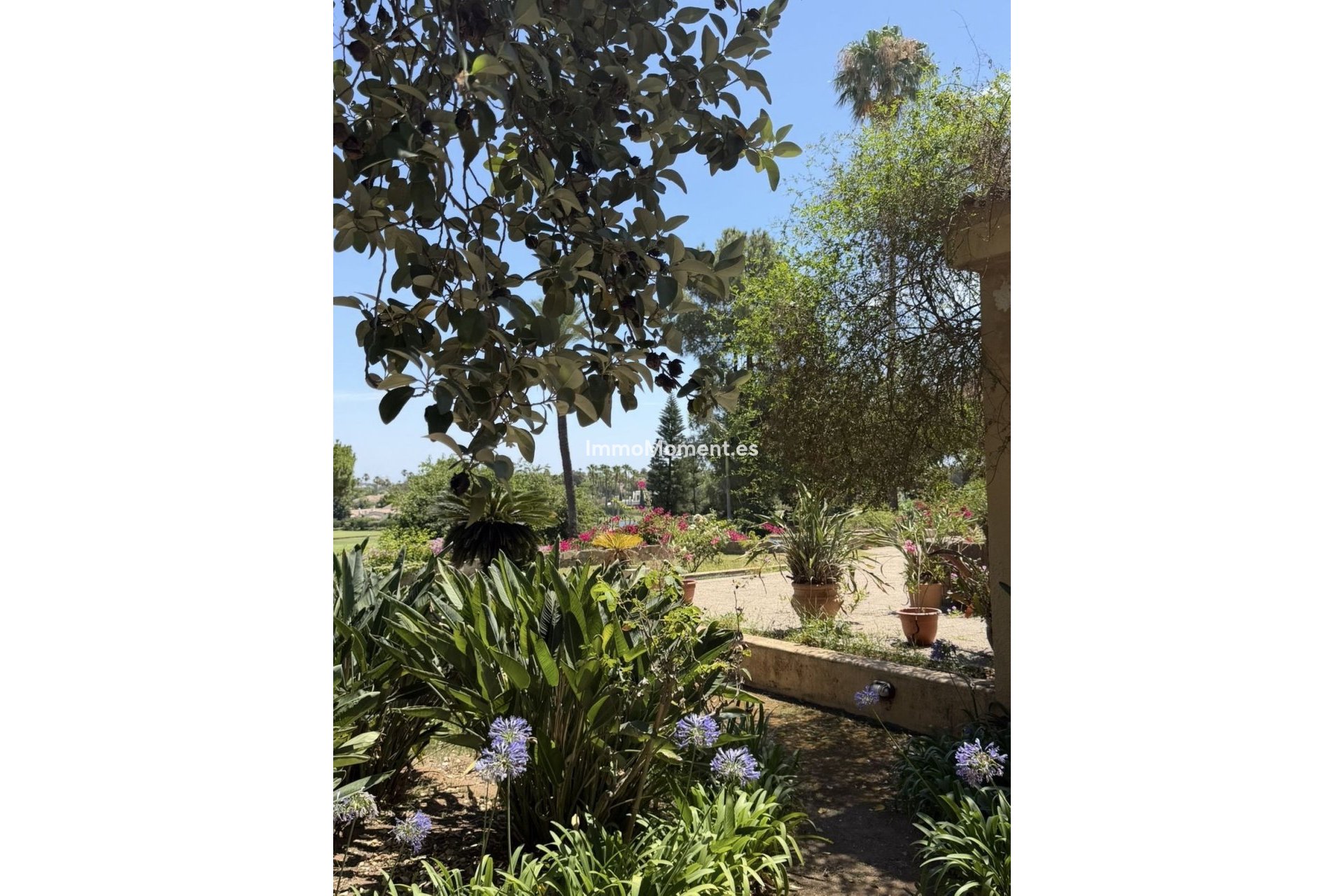Bestaande woning - Vrijstaande villa - Sotogrande - Sotogrande Costa