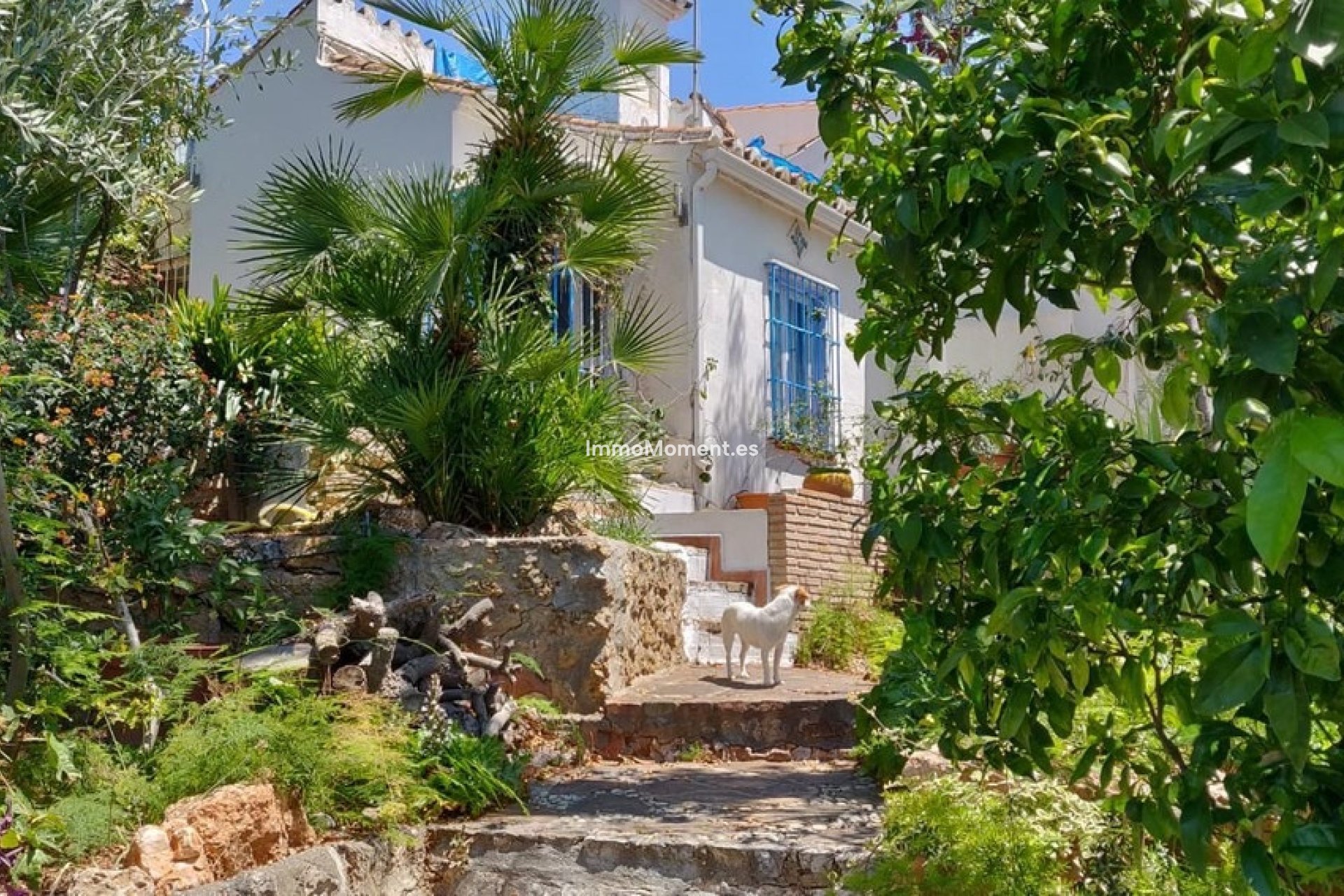 Bestaande woning - Vrijstaande villa - Torremolinos