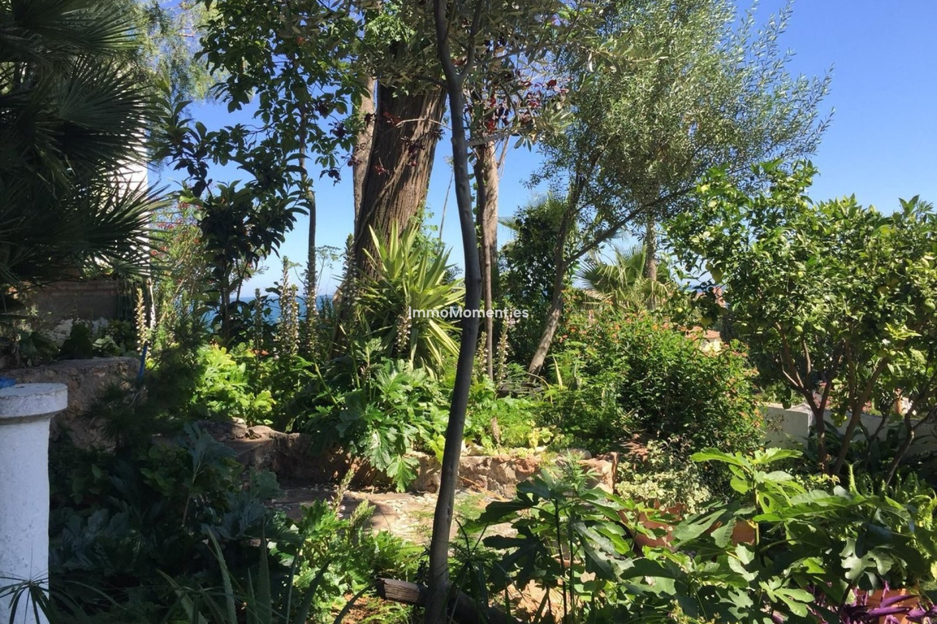 Bestaande woning - Vrijstaande villa - Torremolinos