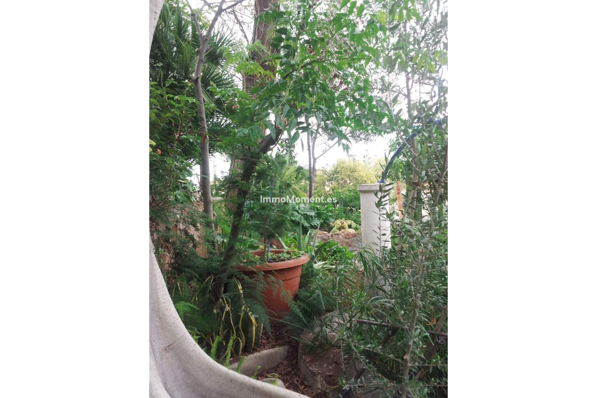 Bestaande woning - Vrijstaande villa - Torremolinos