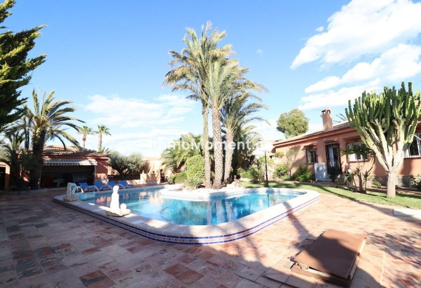 Bestaande woning - Vrijstaande villa - Torrevieja - El Chaparral