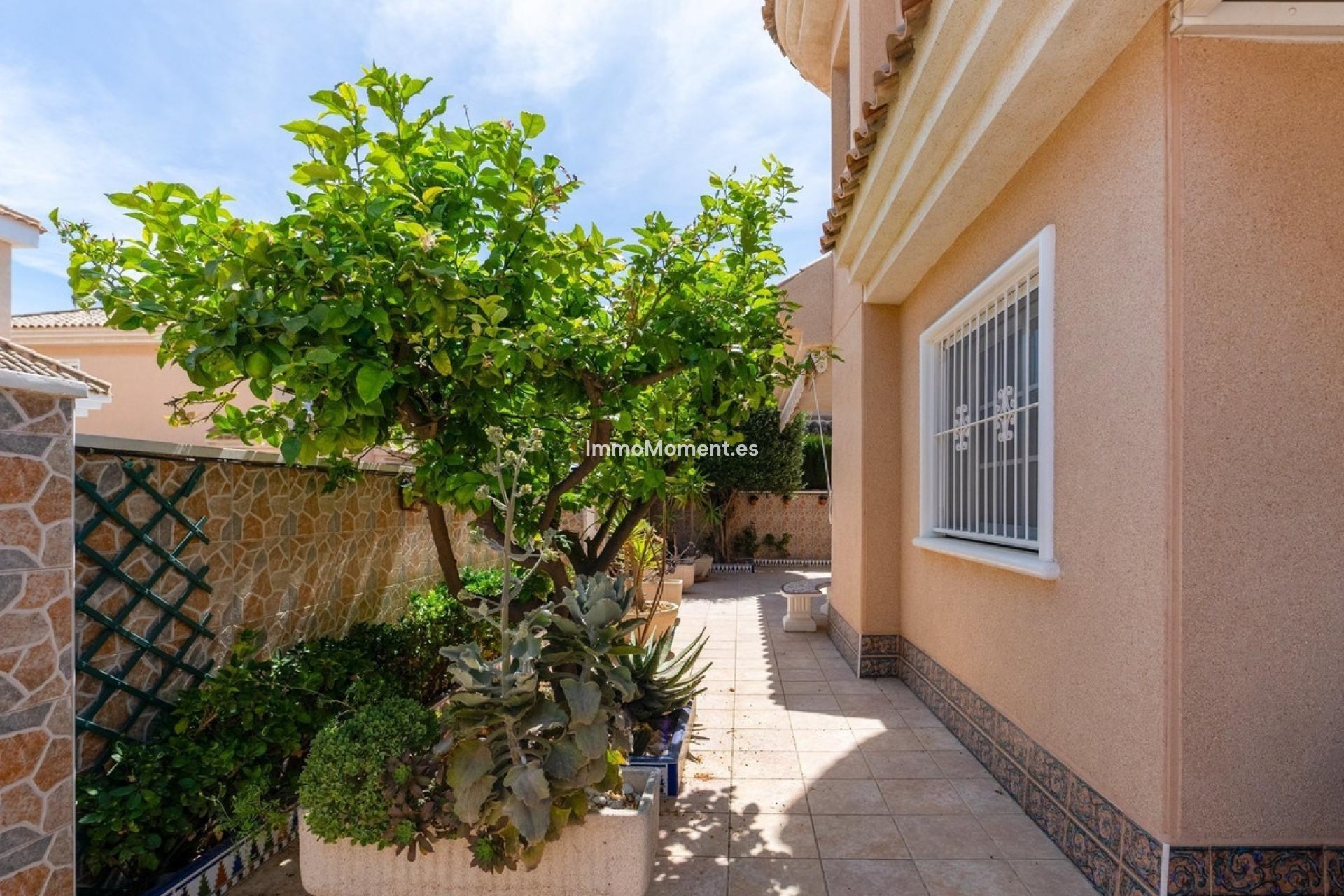 Bestaande woning - Vrijstaande villa - Torrevieja - Torrevieja Centro