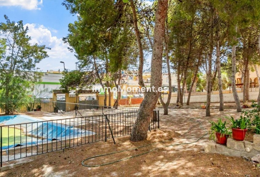 Bestaande woning - Vrijstaande villa - Torrevieja - Torrevieja Centro