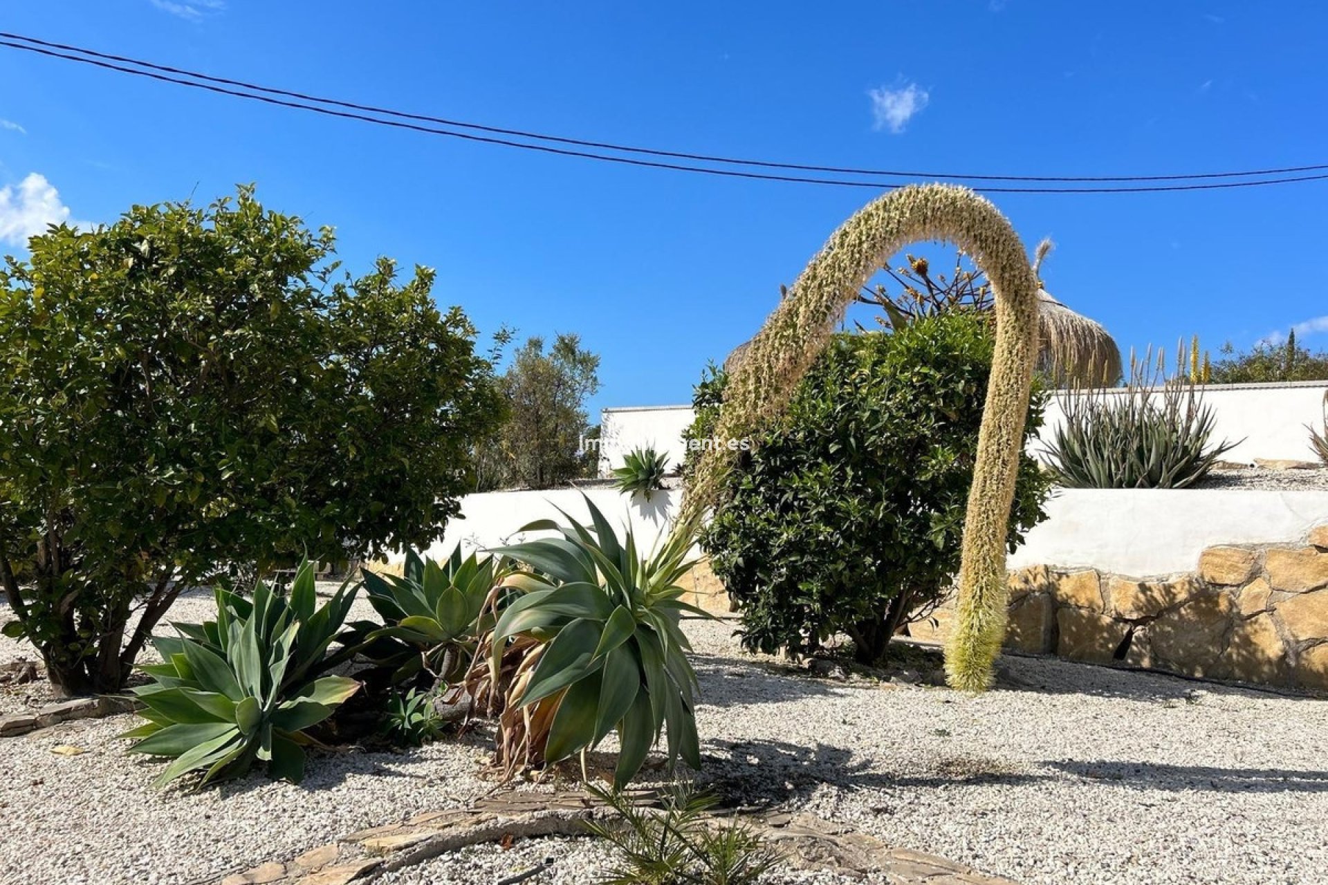 Bestaande woning - Vrijstaande villa - Villajoyosa - Villajoyosa Centro