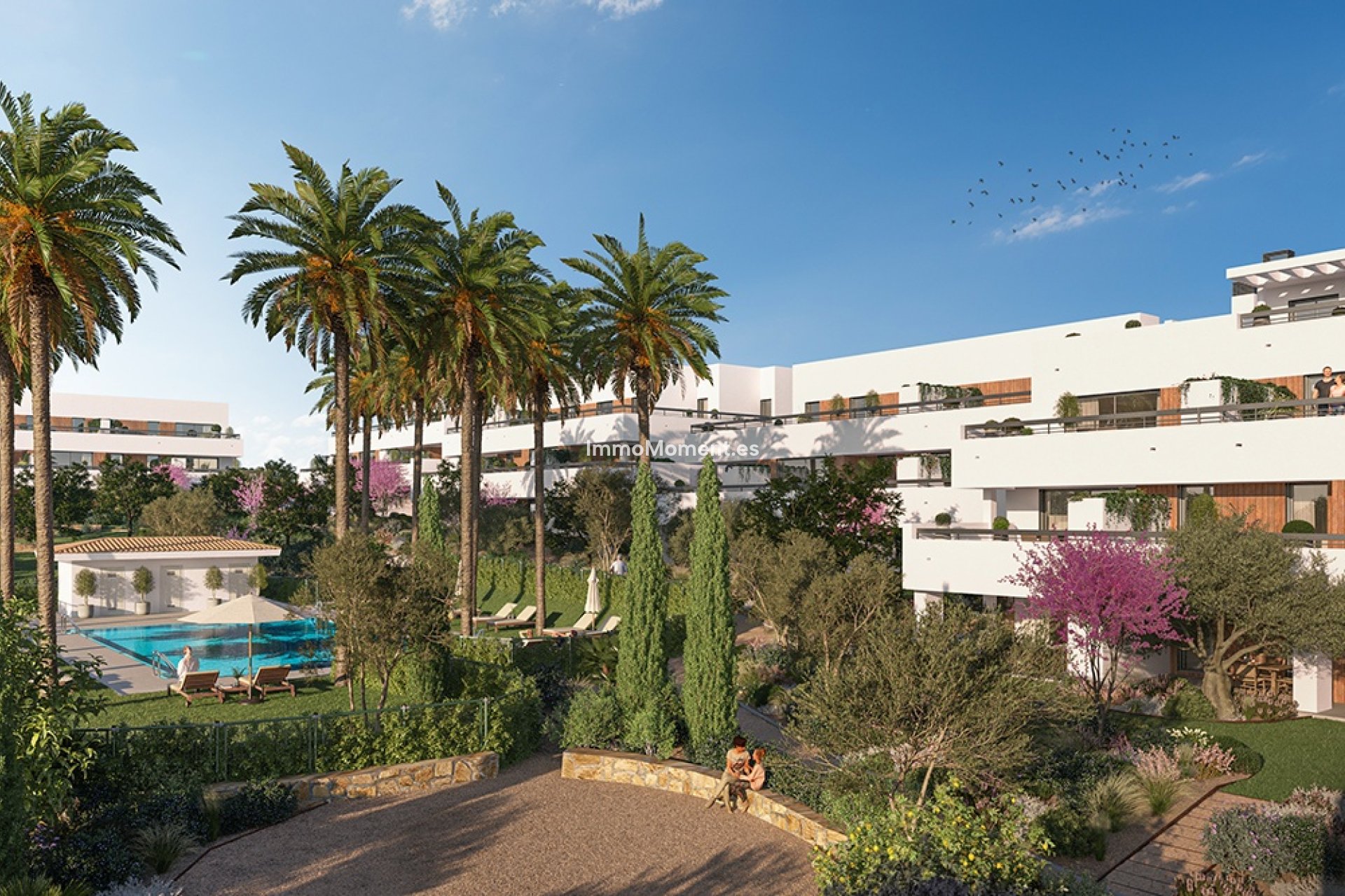 Construction neuve - Appartement - Estepona  - Estepona