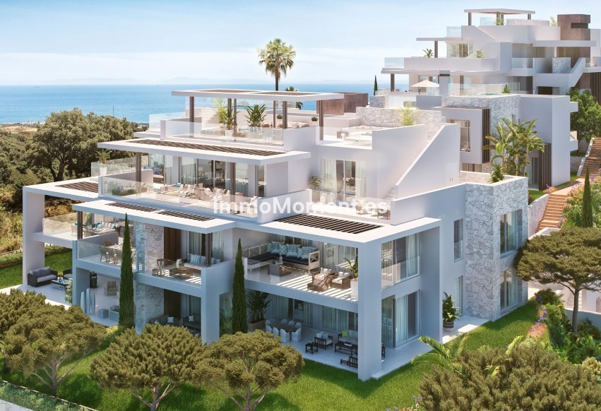 Construction neuve - Appartement - Intérieur                       - Ojén