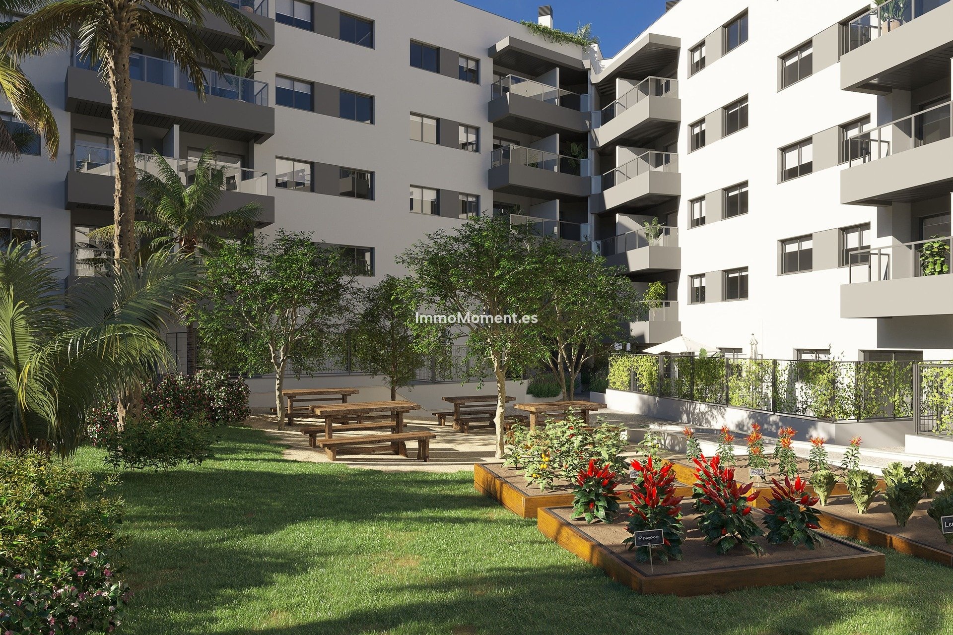 Construction neuve - Appartement - Mijas Costa - Fuengirola