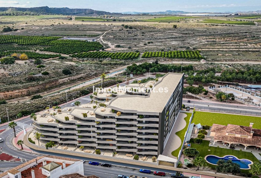 Construction neuve - Appartement - San Miguel de Salinas