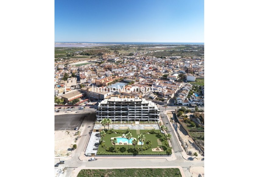 Construction neuve - Appartement - San Miguel de Salinas