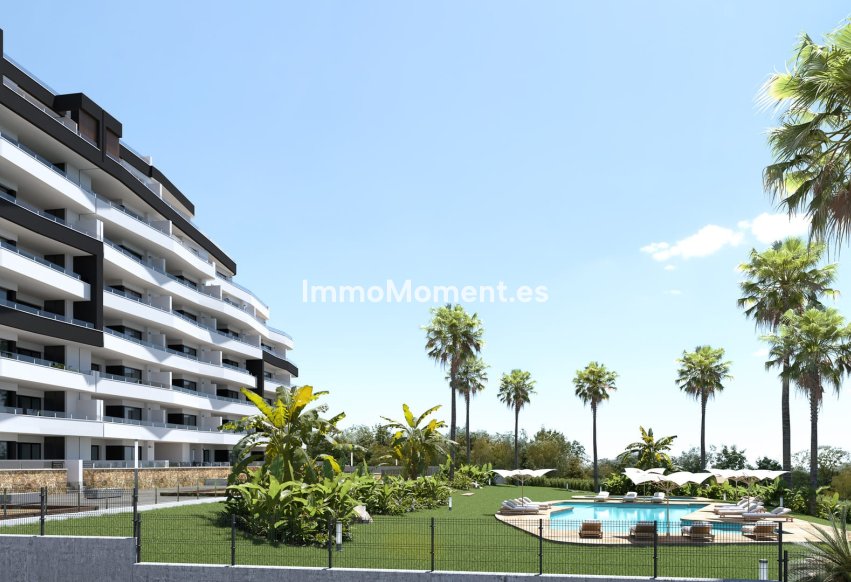 Construction neuve - Appartement - San Miguel de Salinas