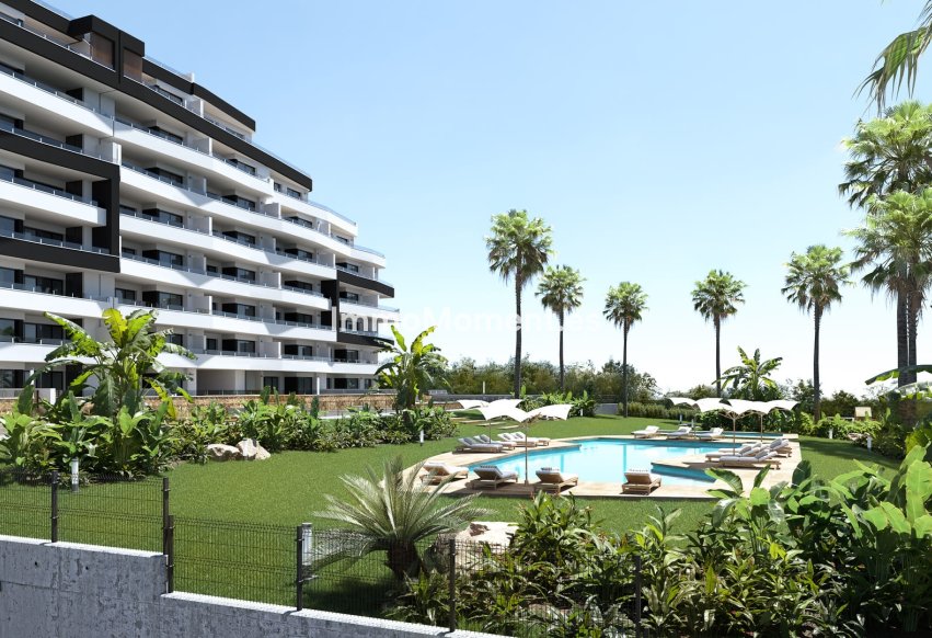 Construction neuve - Appartement - San Miguel de Salinas