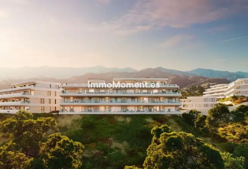 Construction neuve - Ground-floor - Estepona  - Estepona