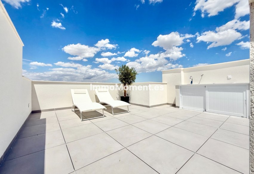 Construction neuve - Low-bungalow - Cox