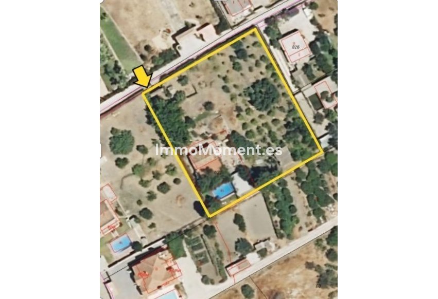 Construction neuve - Maison de campagne - Estepona  - Estepona Centro