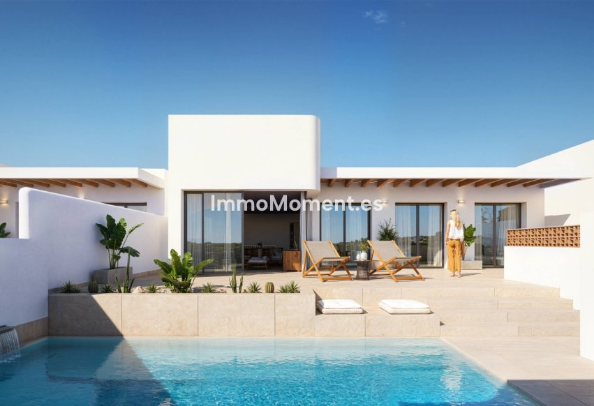 Construction neuve - Maison mitoyenne - Dolores