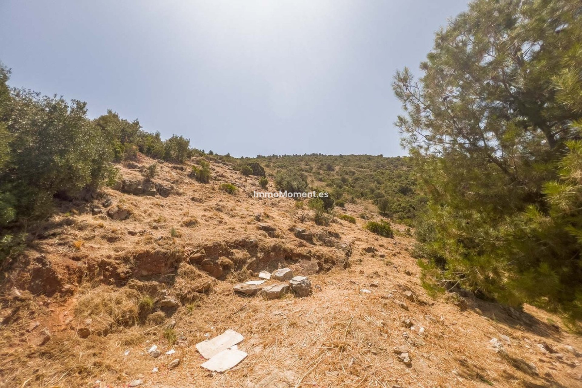 Construction neuve - Parcelle - Intérieur                       - Alhaurín de la Torre