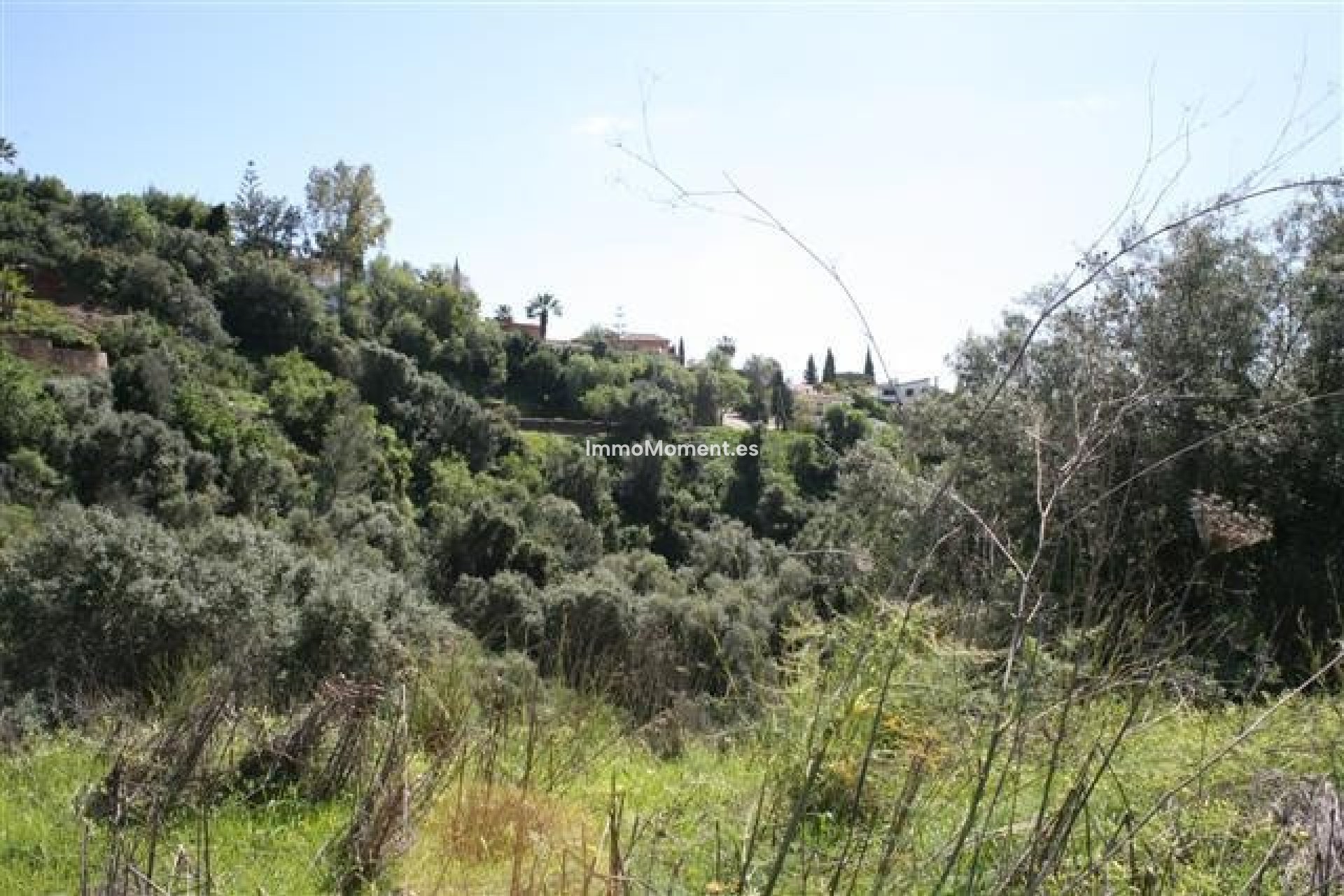 Construction neuve - Parcelle - Marbella - El Rosario