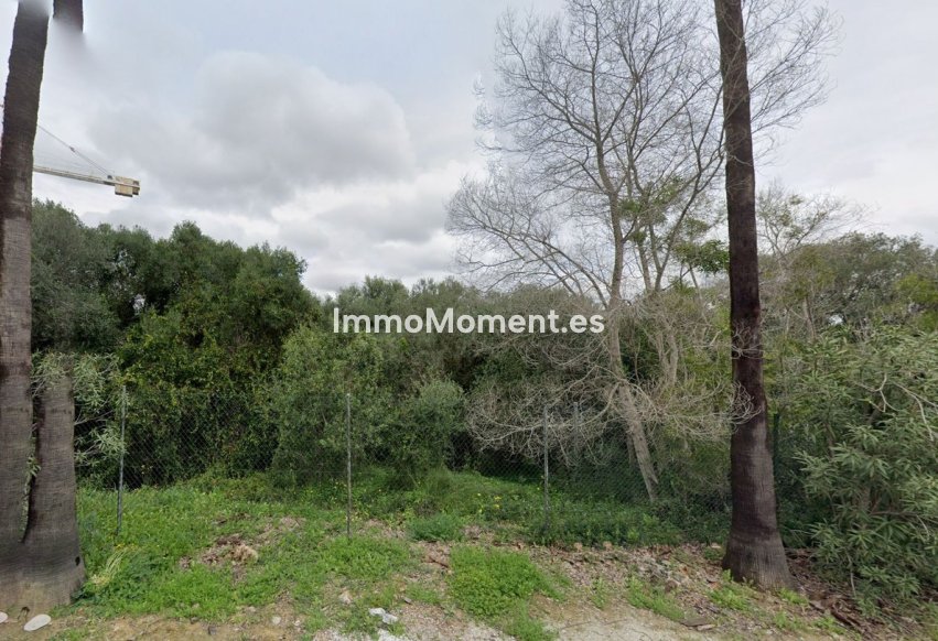 Construction neuve - Parcelle - Sotogrande - Sotogrande Alto