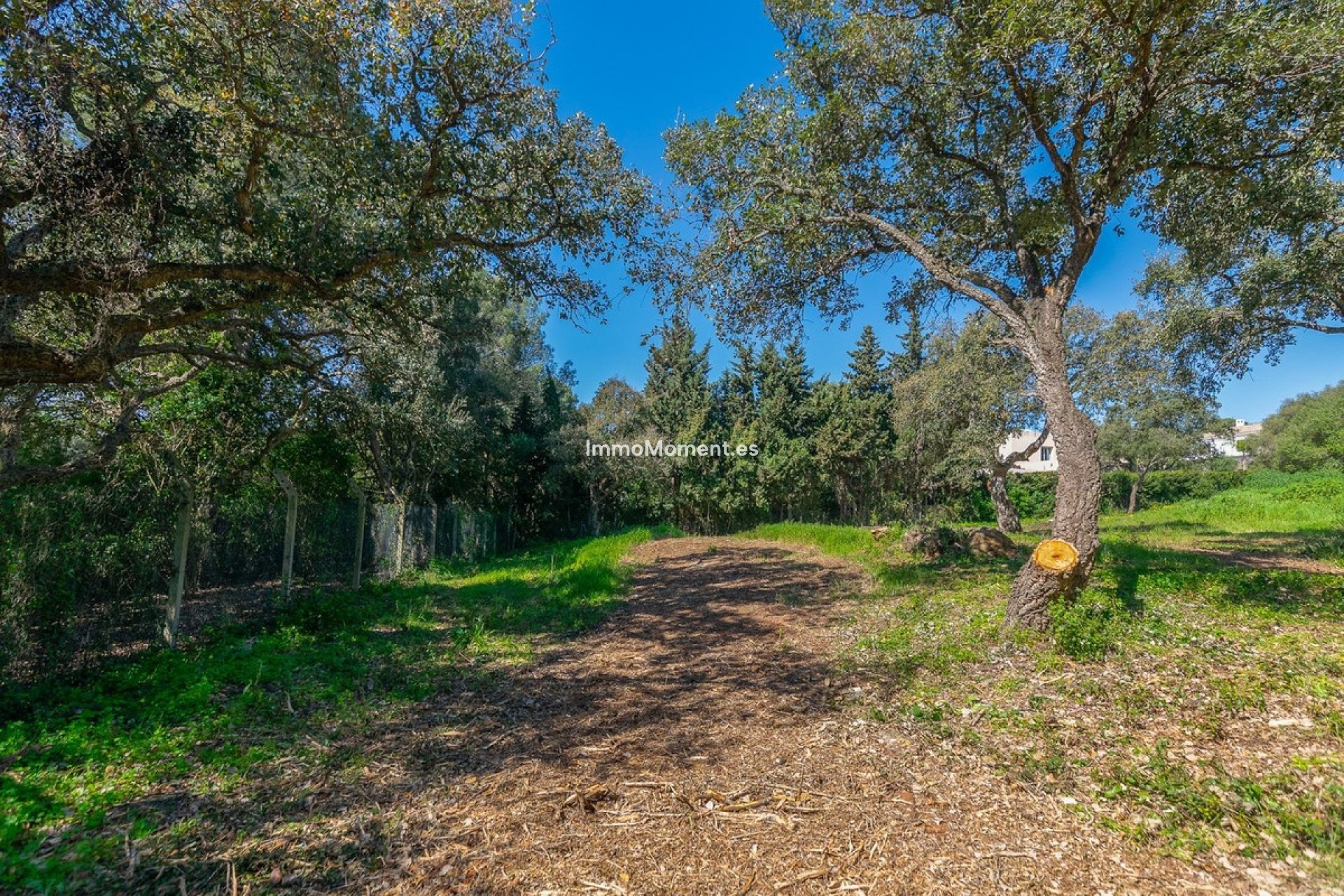 Construction neuve - Parcelle - Sotogrande - Sotogrande Alto