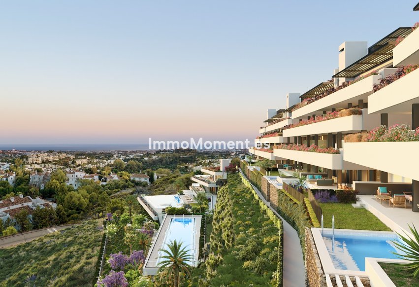 Construction neuve - Penthouse - Benahavís