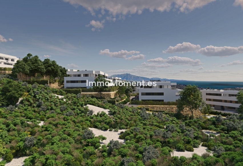 Construction neuve - Penthouse - Casares