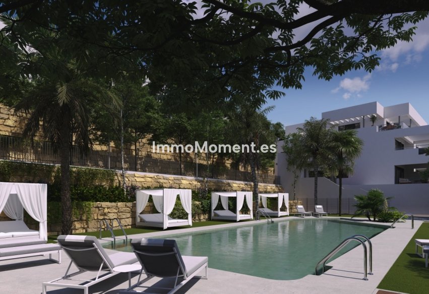 Construction neuve - Penthouse - Casares